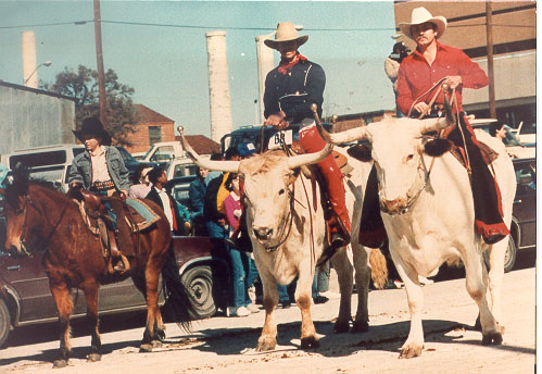 Texas Party Themes